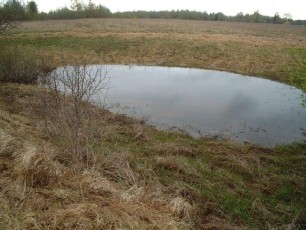 laitserallypark_kogupere_teemapark_ajalugu_rallirada_ralli_maatukk_ehitus_elutoo_2003-11