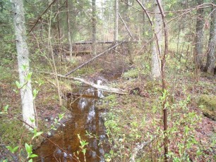 laitserallypark_kogupere_teemapark_ajalugu_rallirada_ralli_maatukk_ehitus_elutoo_2003-2