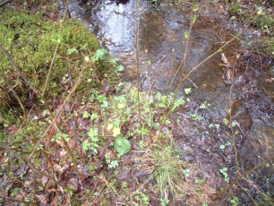 laitserallypark_kogupere_teemapark_ajalugu_rallirada_ralli_maatukk_ehitus_elutoo_2003-3