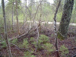 laitserallypark_kogupere_teemapark_ajalugu_rallirada_ralli_maatukk_ehitus_elutoo_2003-34