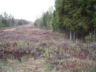 laitserallypark_kogupere_teemapark_ajalugu_rallirada_ralli_maatukk_ehitus_elutoo_2003-4