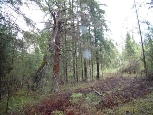 laitserallypark_kogupere_teemapark_ajalugu_rallirada_ralli_maatukk_ehitus_elutoo_2003-43