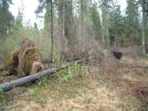 laitserallypark_kogupere_teemapark_ajalugu_rallirada_ralli_maatukk_ehitus_elutoo_2003-45