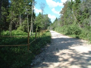 laitserallypark_kogupere_teemapark_ajalugu_rallirada_ralli_maatukk_ehitus_puhkemaja_palkmaja_elutoo_2005-17