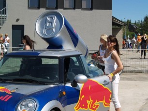 laitserallypark_grand_prix_2009_kogupere_teemapark_voistlus_suururitus-190