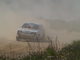 laitserallypark_grand_prix_2009_kogupere_teemapark_voistlus_suururitus-238