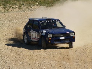 laitserallypark_grand_prix_2009_kogupere_teemapark_voistlus_suururitus-248