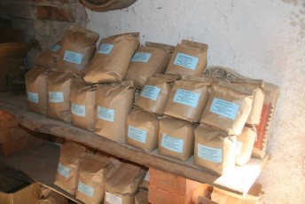 laitserallypark_kogupere_teemapark_vanaauto_uunikumid_klm_laidoneri_puhajarve_2012-205