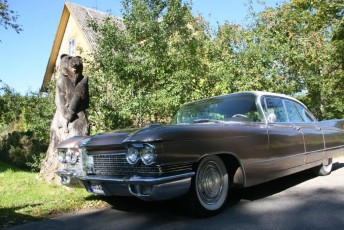 laitserallypark_kogupere_teemapark_vanaauto_uunikumid_peipsi_sibula_soit_2013-130