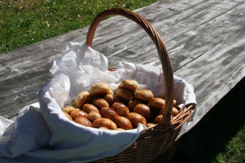 laitserallypark_kogupere_teemapark_vanaauto_uunikumid_peipsi_sibula_soit_2013-161