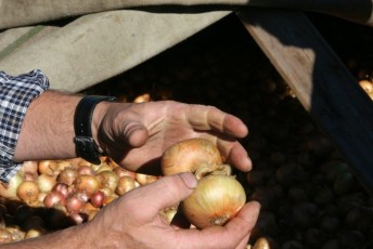 laitserallypark_kogupere_teemapark_vanaauto_uunikumid_peipsi_sibula_soit_2013-169