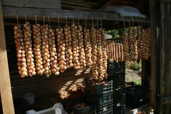 laitserallypark_kogupere_teemapark_vanaauto_uunikumid_peipsi_sibula_soit_2013-171