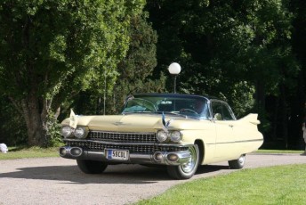 laitserallypark_kogupere_teemapark_vanaauto_uunikumid_peipsi_sibula_soit_2013-182