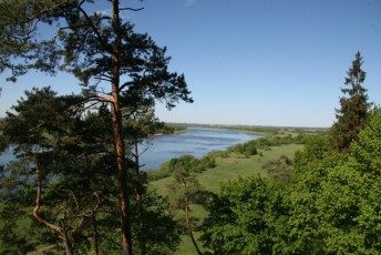 LaitseRallyPark_kogupere_teemapark_vanaauto_uunikumid_Kaliningrad_vanatehnika_seiklus_2014 (108)